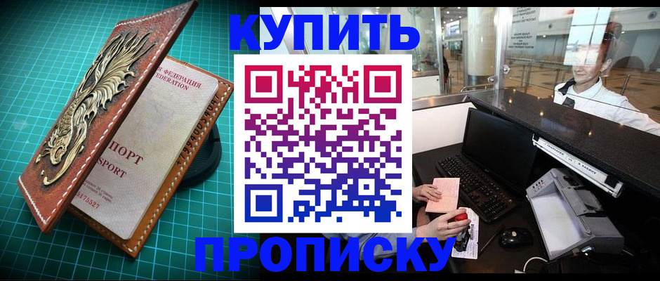 где прописаться в Гатчине